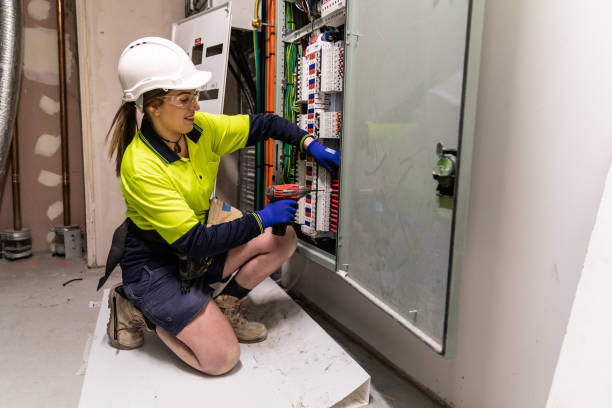Best Affordable Electrician  in Channel Lake, IL