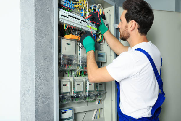 Best Electric Panel Repair  in Channel Lake, IL